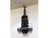 Suspension Strut AUDI A4 Avant (8E5, B6), AUDI A4 Avant (8ED, B7)