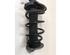 Suspension Strut LAND ROVER RANGE ROVER EVOQUE (L538)