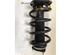 Suspension Strut FORD TRANSIT Bus (FD_ _, FB_ _, FS_ _, FZ_ _, FC_ _), FORD TRANSIT V363 Bus (FAD, FBD)