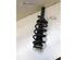 Suspension Strut FORD TRANSIT Bus (FD_ _, FB_ _, FS_ _, FZ_ _, FC_ _), FORD TRANSIT V363 Bus (FAD, FBD)