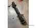 Suspension Strut FIAT DUCATO Platform/Chassis (250_, 290_)