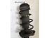 Suspension Strut FIAT GRANDE PUNTO (199_), FIAT PUNTO (199_), FIAT PUNTO EVO (199_), ABARTH GRANDE PUNTO