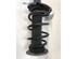 Suspension Strut LAND ROVER RANGE ROVER EVOQUE (L538)