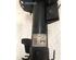 Suspension Strut LAND ROVER RANGE ROVER EVOQUE (L538)