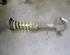 Shock Absorber FIAT PUNTO (188_)