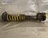 Shock Absorber FIAT PUNTO (188_)