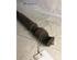 Shock Absorber RENAULT CLIO II (BB_, CB_), RENAULT THALIA I (LB_)