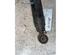 Shock Absorber RENAULT KANGOO Express (FC0/1_)