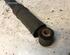 Shock Absorber RENAULT KANGOO Express (FW0/1_)