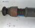 Shock Absorber RENAULT CLIO II (BB_, CB_)