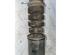 Shock Absorber RENAULT LOGAN I Estate (KS_), DACIA LOGAN MCV (KS_)