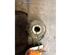 Shock Absorber FIAT CINQUECENTO (170_)