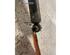 Shock Absorber MAZDA 6 Station Wagon (GY)