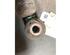 Shock Absorber RENAULT KANGOO Express (FC0/1_)