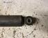 Shock Absorber PEUGEOT EXPERT Van (VF3A_, VF3U_, VF3X_), PEUGEOT EXPERT Platform/Chassis