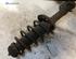 Shock Absorber VW POLO (6N1)