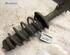 Shock Absorber VW POLO (6N1)