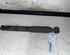 Shock Absorber RENAULT KANGOO Express (FC0/1_)