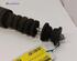 Shock Absorber RENAULT CLIO III (BR0/1, CR0/1)