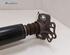 Shock Absorber FIAT PUNTO (199_), ABARTH GRANDE PUNTO, FIAT GRANDE PUNTO (199_), FIAT PUNTO EVO (199_)