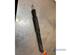 Shock Absorber RENAULT CLIO III (BR0/1, CR0/1)