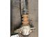 Shock Absorber VW GOLF VI (5K1), VW GOLF VI Van (5K1_)