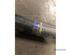 Shock Absorber RENAULT 19 II (B/C53_)