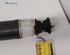 Shock Absorber RENAULT CLIO IV Grandtour (KH_)