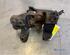 Manual Transmission Mount CITROËN C1 (PM_, PN_)