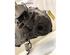 Transfer Case LAND ROVER RANGE ROVER EVOQUE (L538)