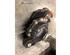 Transfer Case LAND ROVER DISCOVERY IV (L319)