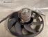 Interior Blower Motor FORD TRANSIT CONNECT (P65_, P70_, P80_)