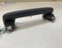 Grab Handle AUDI Q4 SUV (F4B)