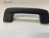 Grab Handle AUDI Q4 SUV (F4B)