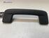 Grab Handle AUDI Q4 SUV (F4B)