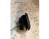 Switch for window winder SUZUKI BALENO (EG)