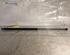 Gas Spring PEUGEOT 306 Break (7E, N3, N5)