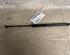 Gas Spring VW CADDY III Box Body/MPV (2KA, 2KH, 2CA, 2CH)