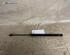 Gas Spring VW CADDY III Box Body/MPV (2KA, 2KH, 2CA, 2CH)