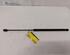 Gas Spring OPEL ASTRA H TwinTop (A04)