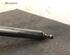 Gas Spring RENAULT MEGANE III Grandtour (KZ0/1)