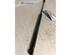 Bootlid (Tailgate) Gas Strut Spring DACIA SANDERO, DACIA LOGAN (LS_), DACIA LOGAN EXPRESS (FS_), DACIA LOGAN Pickup (US_)