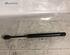 Bootlid (Tailgate) Gas Strut Spring BMW 3 (E36)