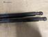 Bootlid (Tailgate) Gas Strut Spring RENAULT TWINGO II (CN0_)