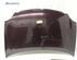 Motorhaube VW Polo IV 9N 6QE823031B P19038631