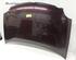 Motorhaube VW Polo IV 9N 6QE823031B P19038631