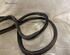 Door Seal VW TOURAN (1T1, 1T2), VW TOURAN (1T3), VW TOURAN VAN (1T1, 1T2)