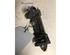 Door Handle RENAULT CLIO II (BB_, CB_), RENAULT CLIO III (BR0/1, CR0/1), RENAULT THALIA I (LB_)