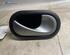 Door Handle RENAULT TWINGO II (CN0_)