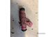 Injector Nozzle FIAT PANDA (169_)